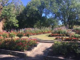 "memorial garden with paved paths lined by red rose bushes"