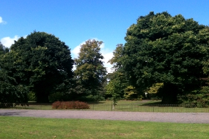 Preston Twins at Preston Park