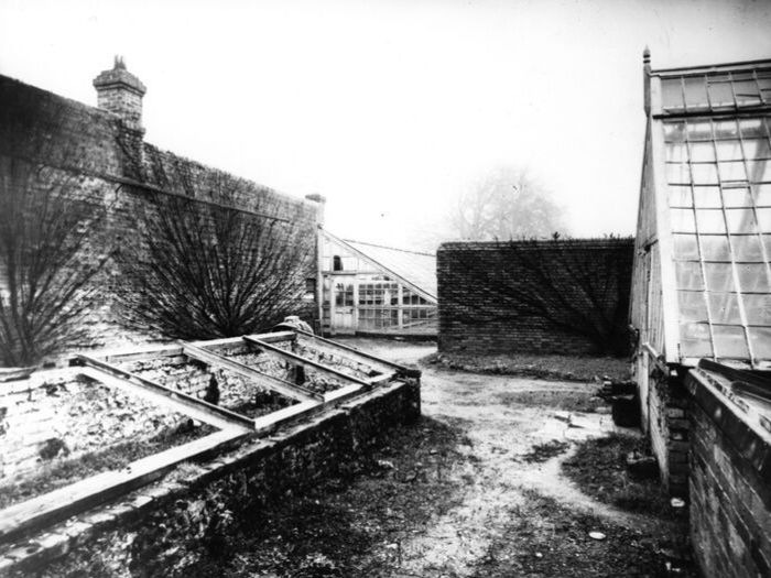 Stanmer green house