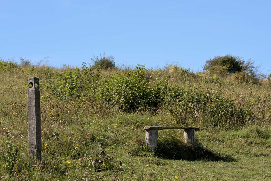 Bench at Benfield Hill Local Nature Reserve. Credit: Neil Jenkins