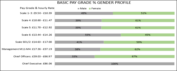 Graph showing the basic pay grade gender profile