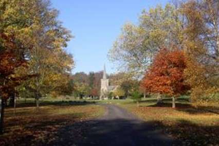 Photo of Stanmer Park, a tree lined path leading to a church