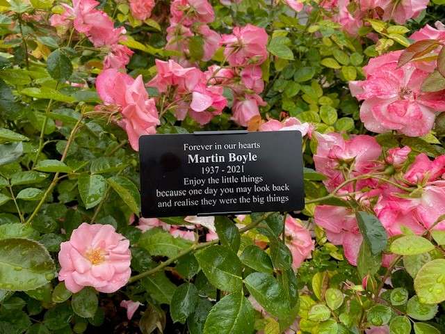 A picture of a black plaque in a bed of pink flowers