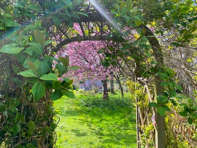 Garden of Remembrance at Woodvale Crematorium and cemetery. There is an archway covered in leaves which leads to a grass areas with trees.