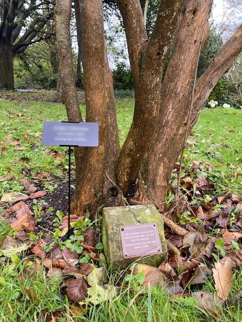 Two plaques at the base of a tree