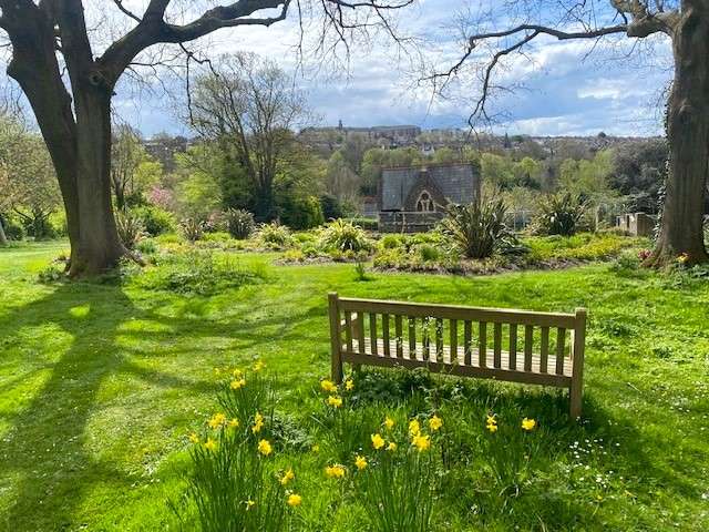 Green area with daffodils and a wooden bench. Looking out on to a view of a wooded area and blue sky.