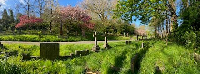 Garden with grave stones evenly spread out.