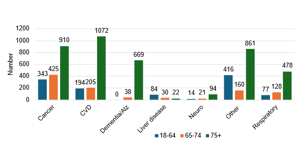 Brighton and Hove underlying cause of death and age group