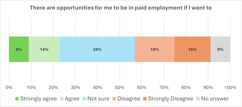 Graph showing answers to the question There are opportunities for me to be in paid employment if I want to - figures are given below