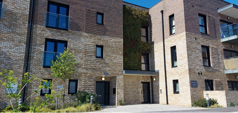 Building with a wall of greenery, with a tree in front.