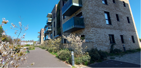 Building with wildflowers in front, next to a wide path. More flowers on the other side of the path.