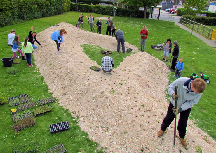 A wide angle shot of a group of people working together in a local park. They are digging and planting some grass chalkland and wildflowers