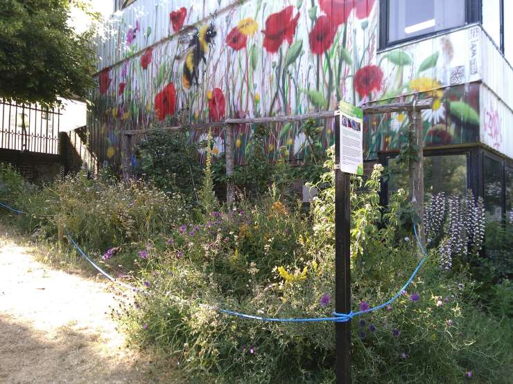 An urban wildflower garden full of bees. On the wall behind the plants there is a large mural of a bumblebee amongst red and yellow flowers.