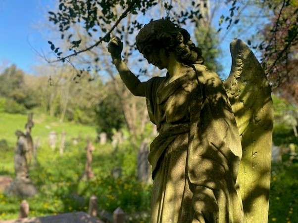 Stone angel in cemetery. Green grass and blue sky.