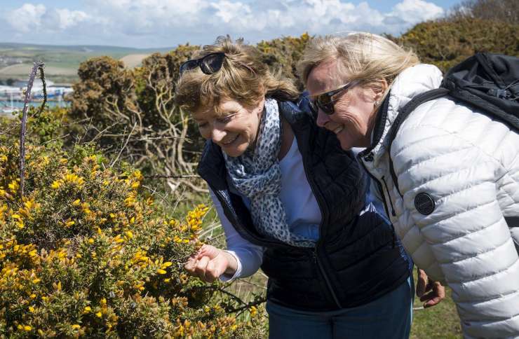 Two people admiring flowers on a countryside walk.