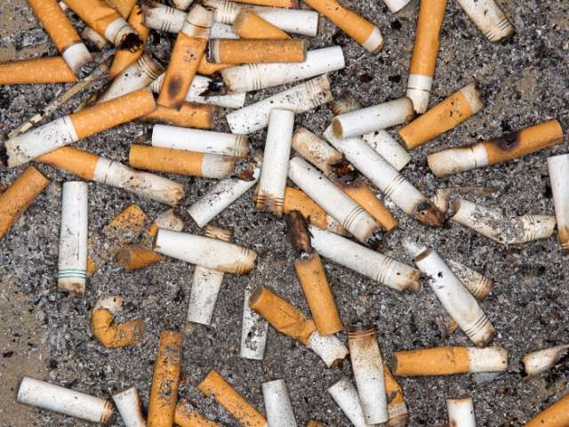 Cigarette butts