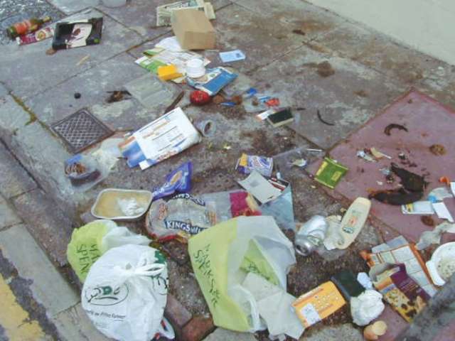 Litter