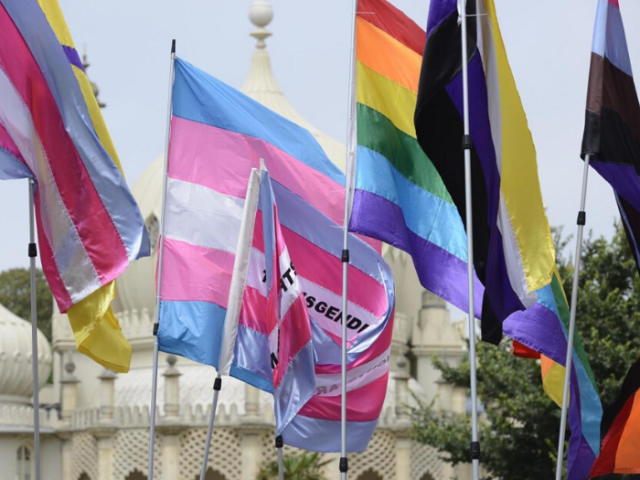 LGBTQ+ flags