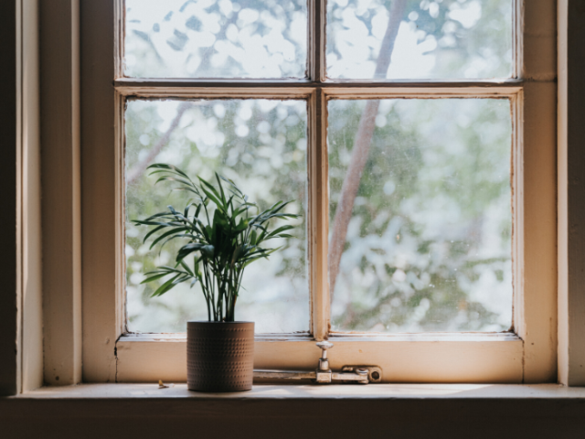 Photo of a sunny windowsil with a plant on it
