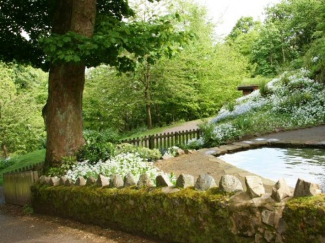 Park garden photo