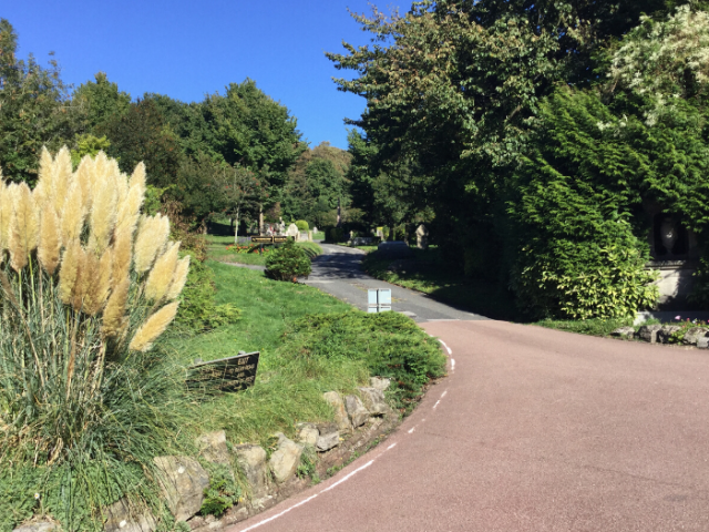 Woodvale cemetery picture