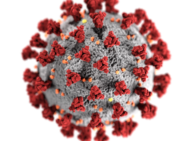 Computer generated image of a corona virus