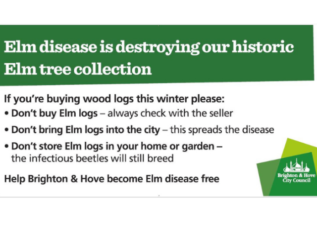 image of elm log sign