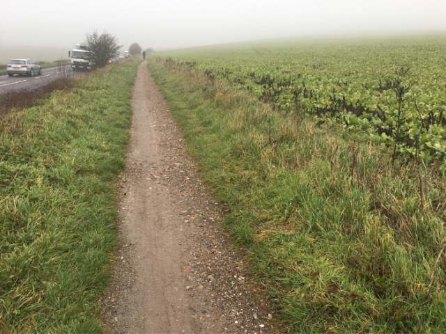 Picture of a gravel path with grass verges on either side and a road to the left