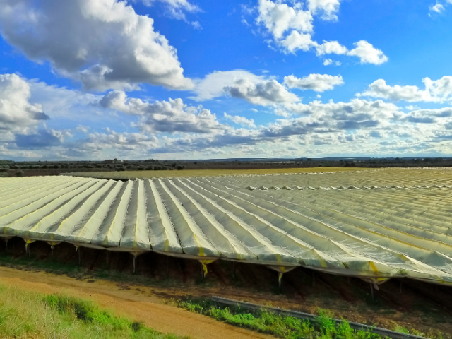 A view from above of a field being used for food production