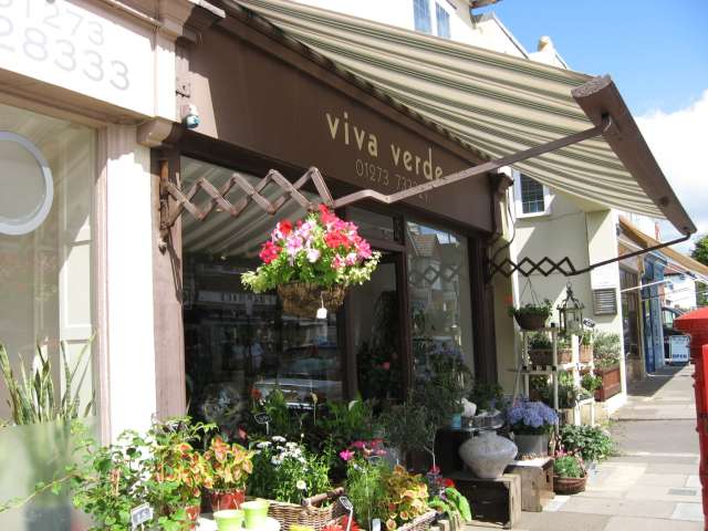 Exterior of a flower shop with hanging basket and plants outside and a red and white striped awning over the shop front.