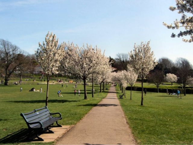 Image of Hove Park, which has won a Green Flag award