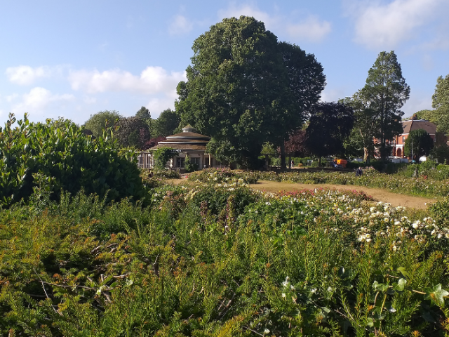Preston Park Rose Garden