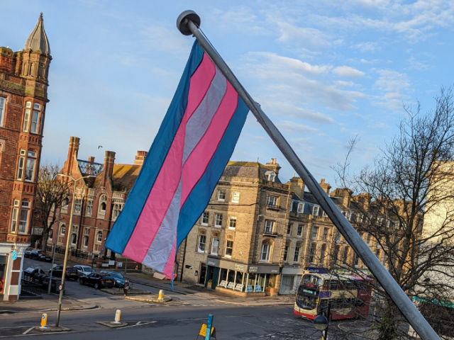 Photograph of the trans flag flying at Hove Town Hall