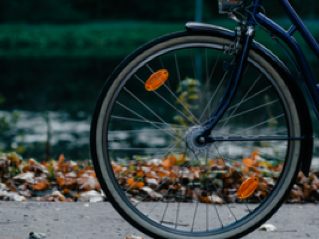 A picture of a bicycle on an autumn path