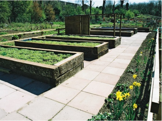 Accessible friendly allotment plots with raised beds and wheelchair friendly pathways