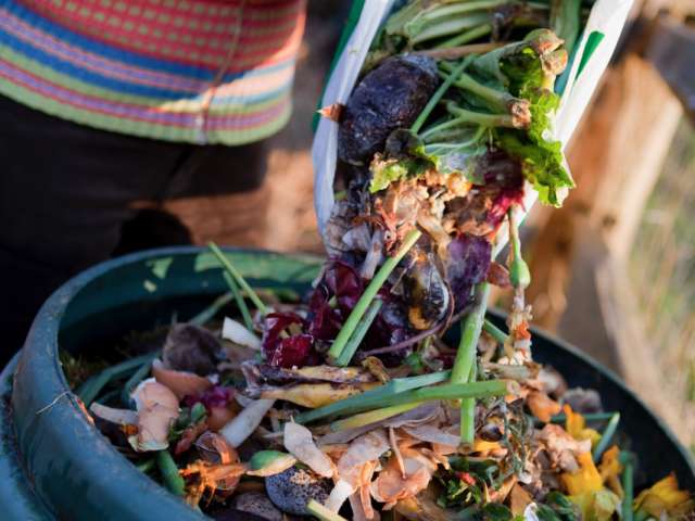 Food waste from a caddy being emptied into a bin