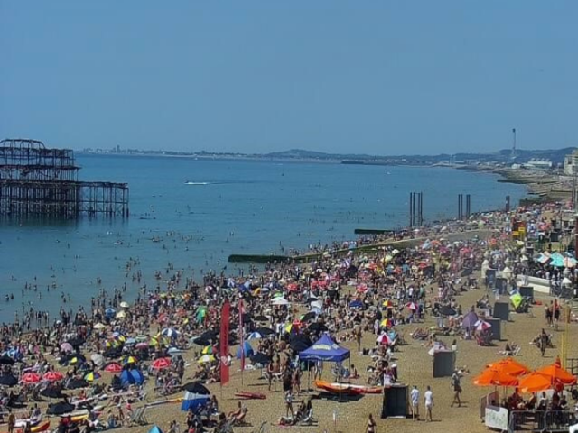 Photograph of a busy Brighton & Hove beach on a sunny day, with a calm sea and the West Pier in the background