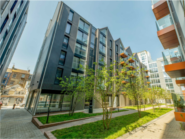 Three tree-lined grass strips in a piazza between new modern buildings 