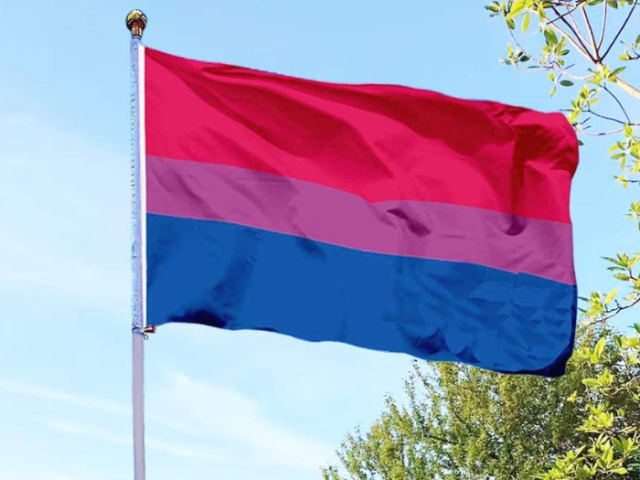 Photograph a pink, purple and blue Bi Pride flag against a blue sky