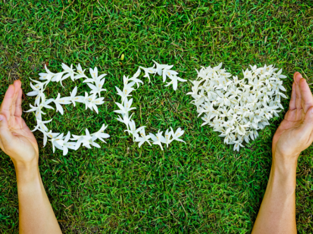 The word 'eco' spelled out in white flower petals laid on a green grass background