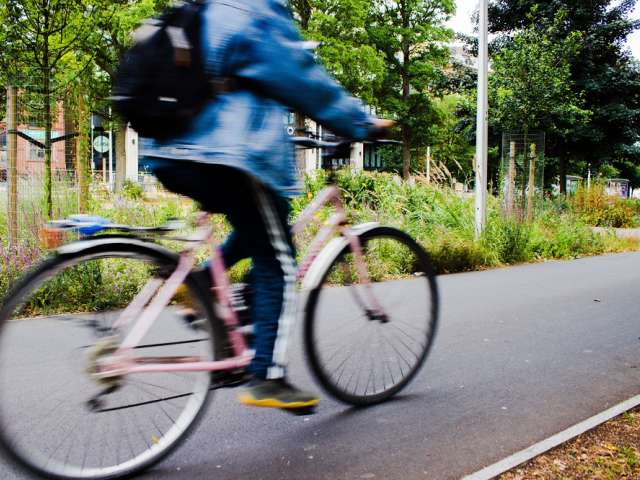Person riding a bike.