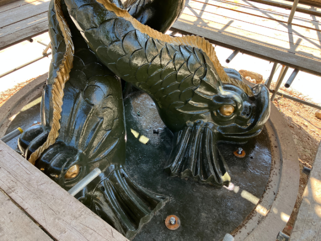 Picture of one of the newly restored Victoria Fountain dolphins