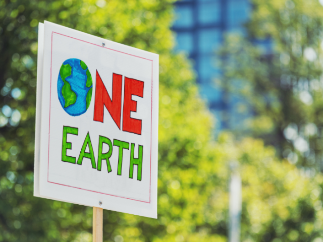 A hand-made sign that says 'One Earth' 