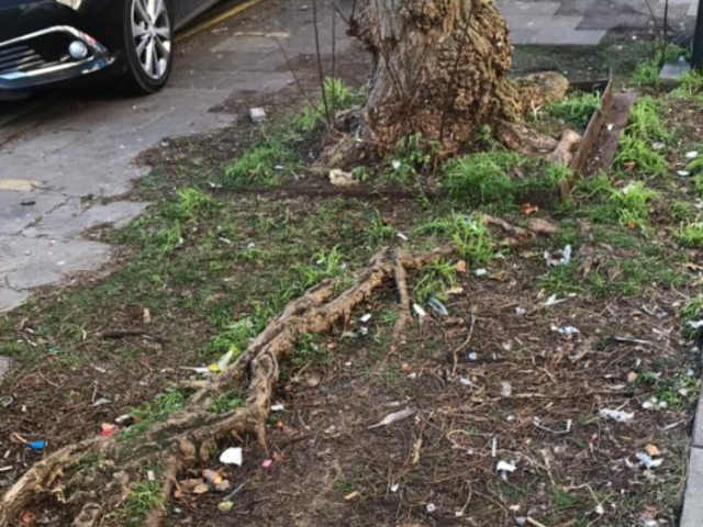 A picture of a tree stump with roots protruding from the ground