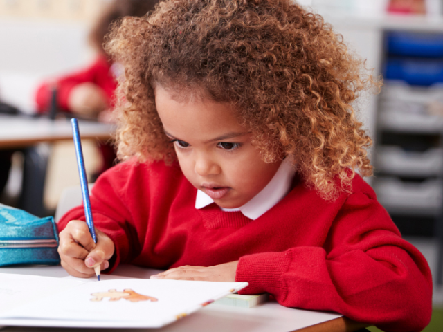 The photo shows a primary school pupil in the classroom.