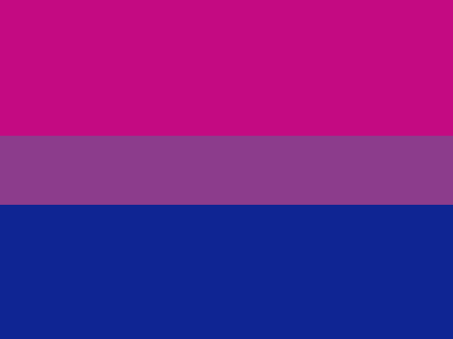 Picture shows a magenta, violet and blue bisexual pride flag.