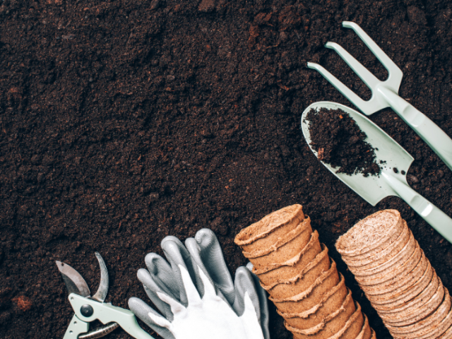 Gardening tools on a bed of soil