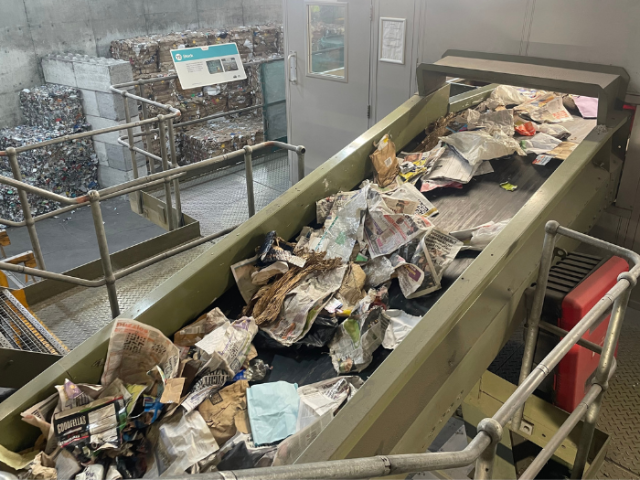 Photo of a conveyer belt with recycled paper and cardboard on it.