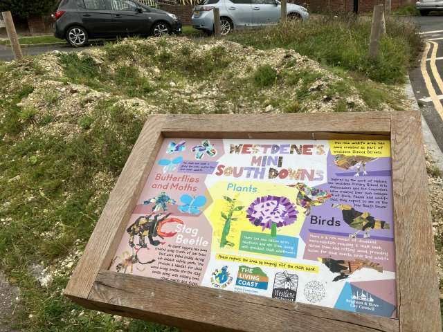 A colourful interpretation board illustrating the chalk downland plants and wildlife they support, designed by children at Westdene School, with the newly created chalk bank in the background