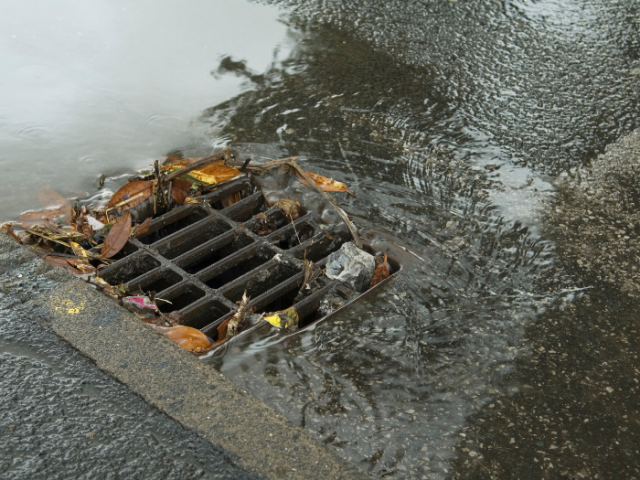 a picture of a drain gully